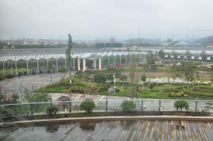 荆州市沙市区雪亮工程综治中心